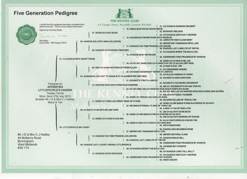 Blaise Pedigree