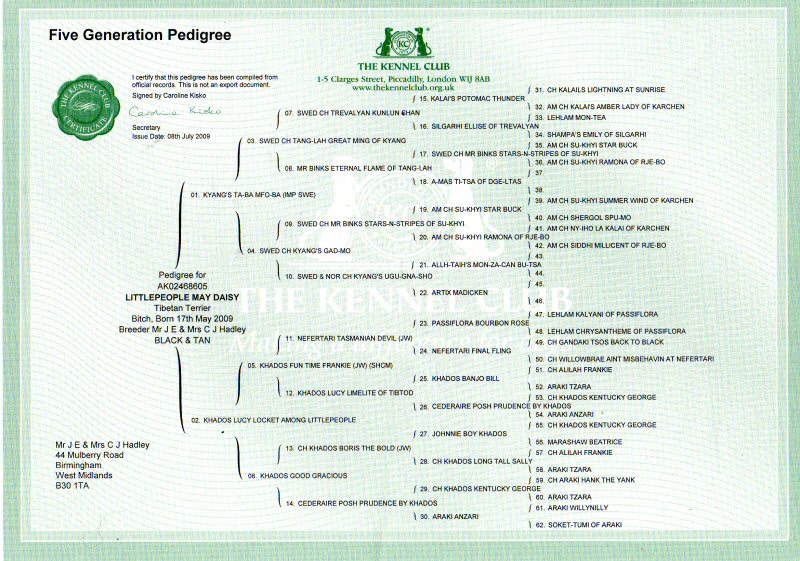 Daisy Pedigree