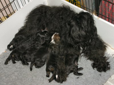 Group Photo