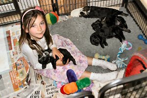 Jess and some puppies