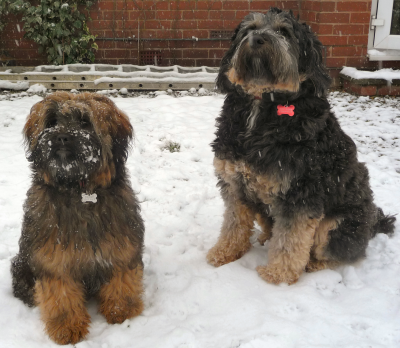 Pippin and Beren in the snow