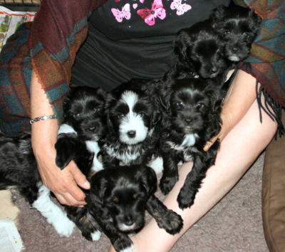 27th April 2011 - Group Pose